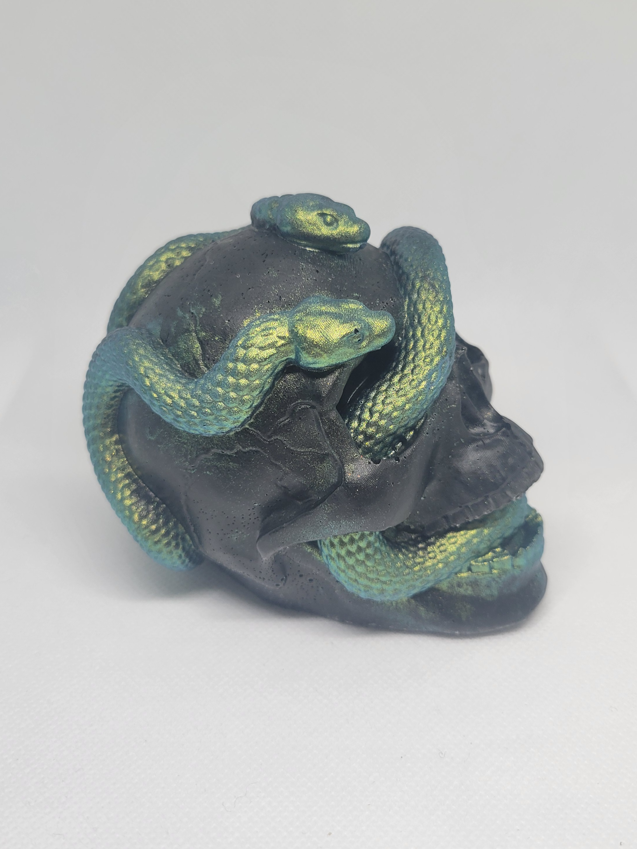 Snake Skull