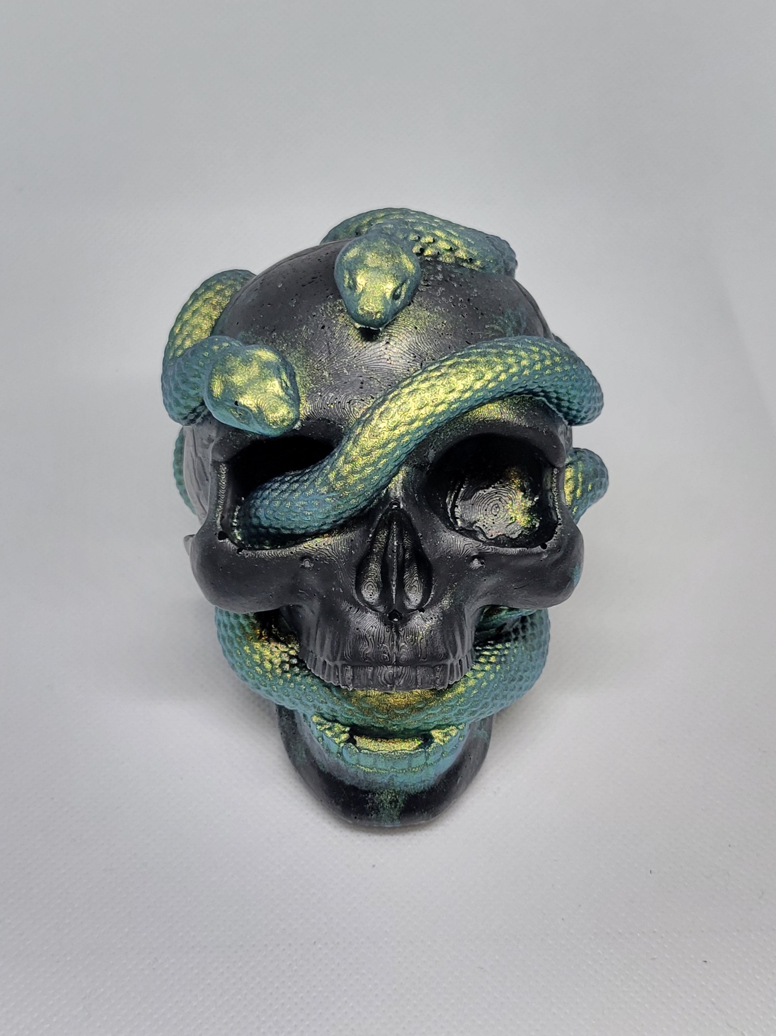Snake Skull