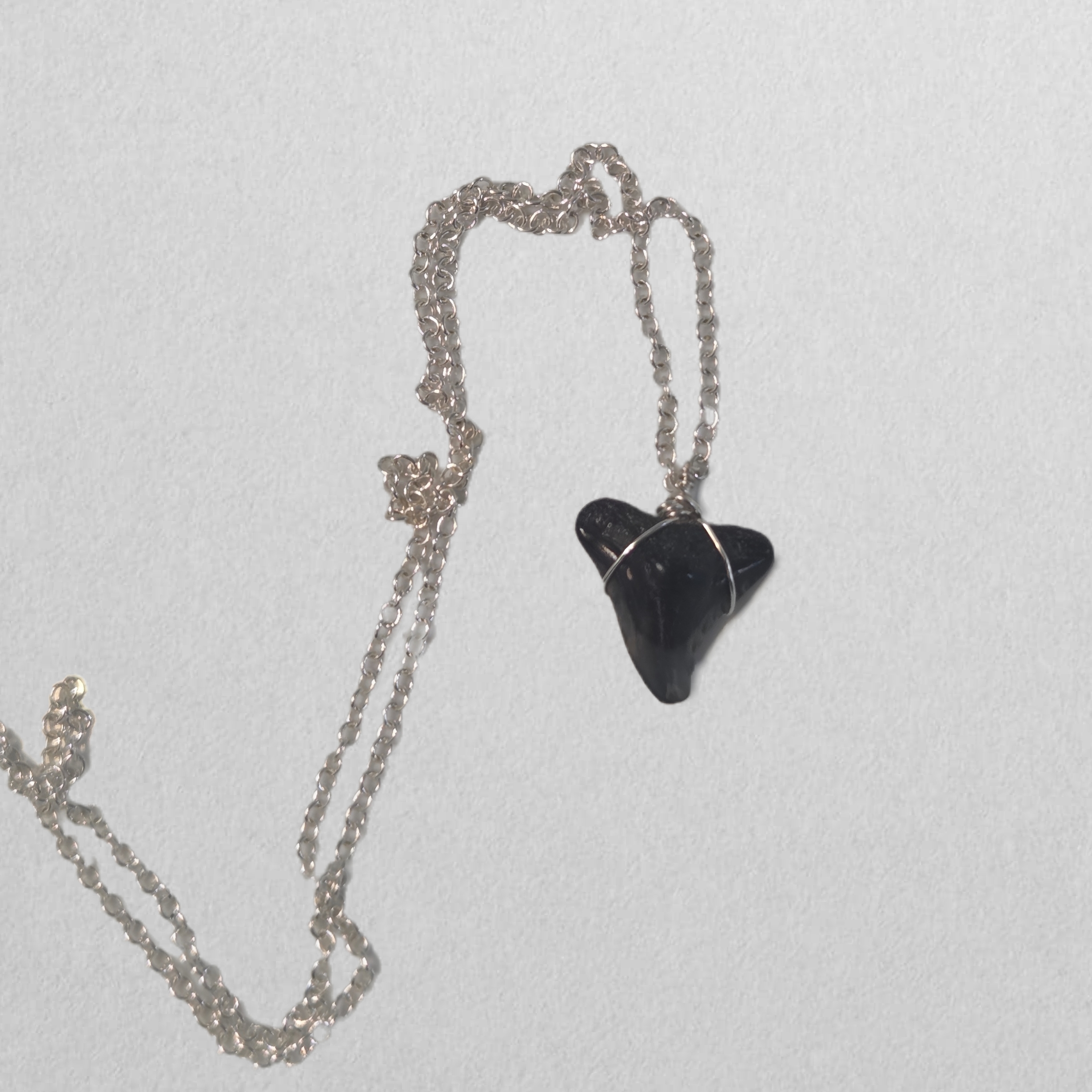 Shark Tooth Necklace