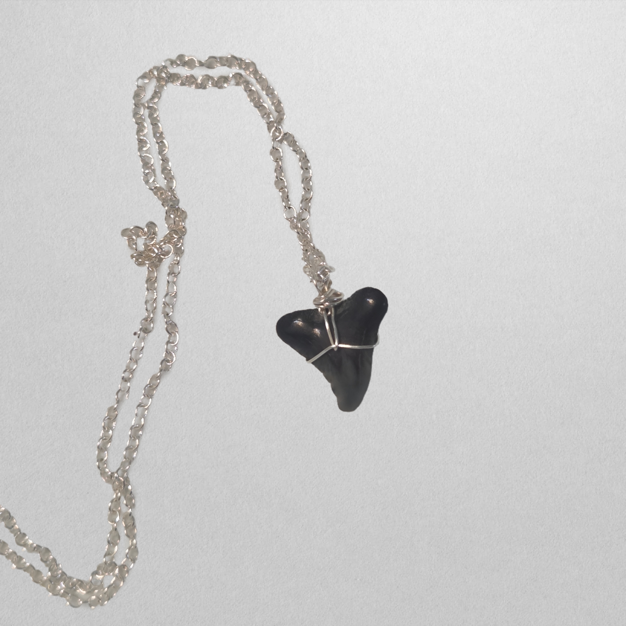 Shark Tooth Necklace