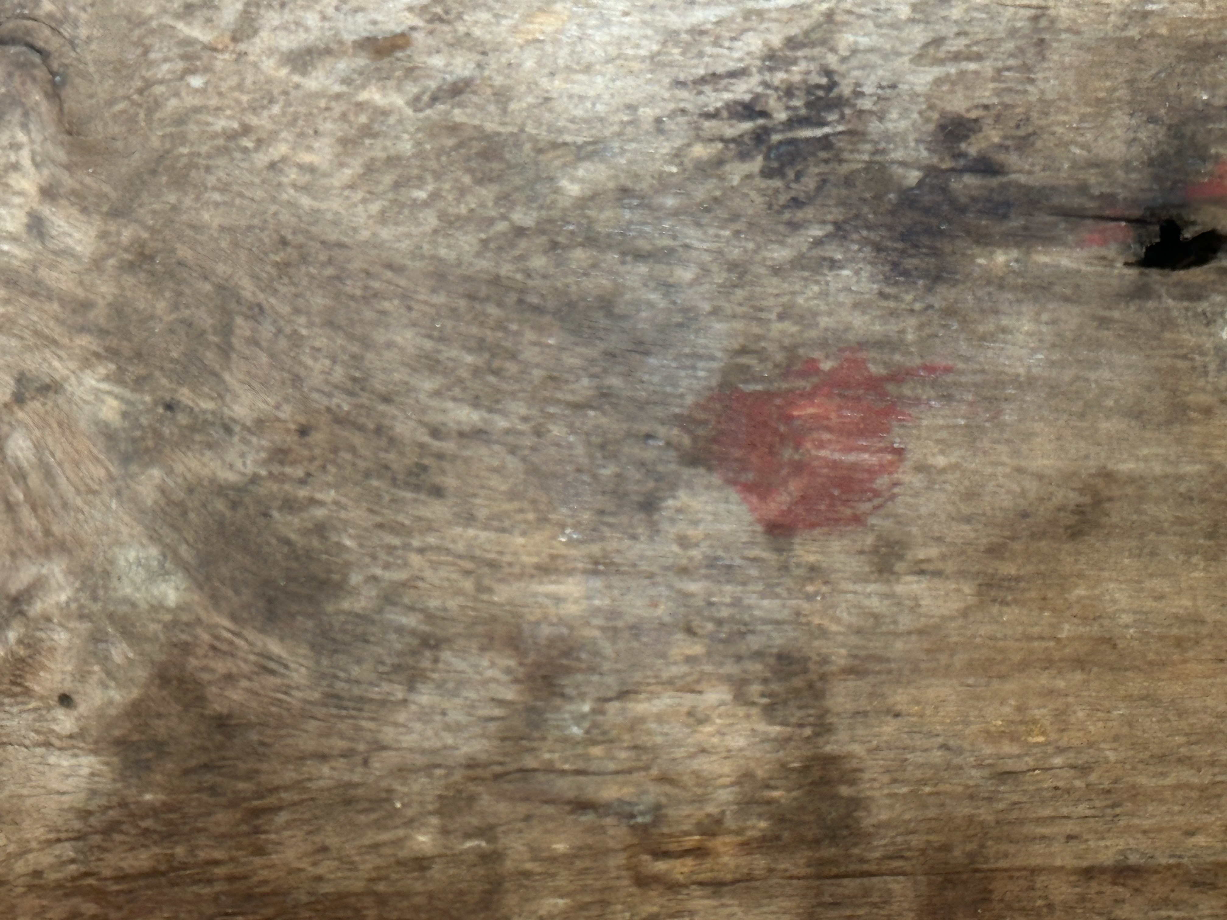 Scuola Toscana del XV secolo