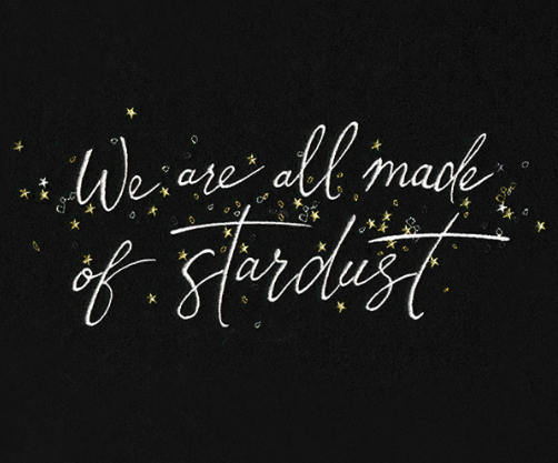 Kussenhoes met Stardust borduursel