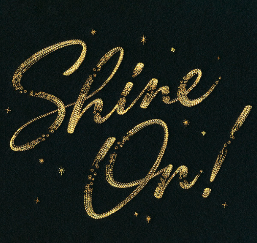 Kussenhoes met Shine On borduursel