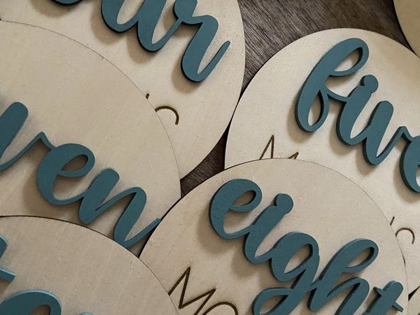 Baby Milestone Circles 