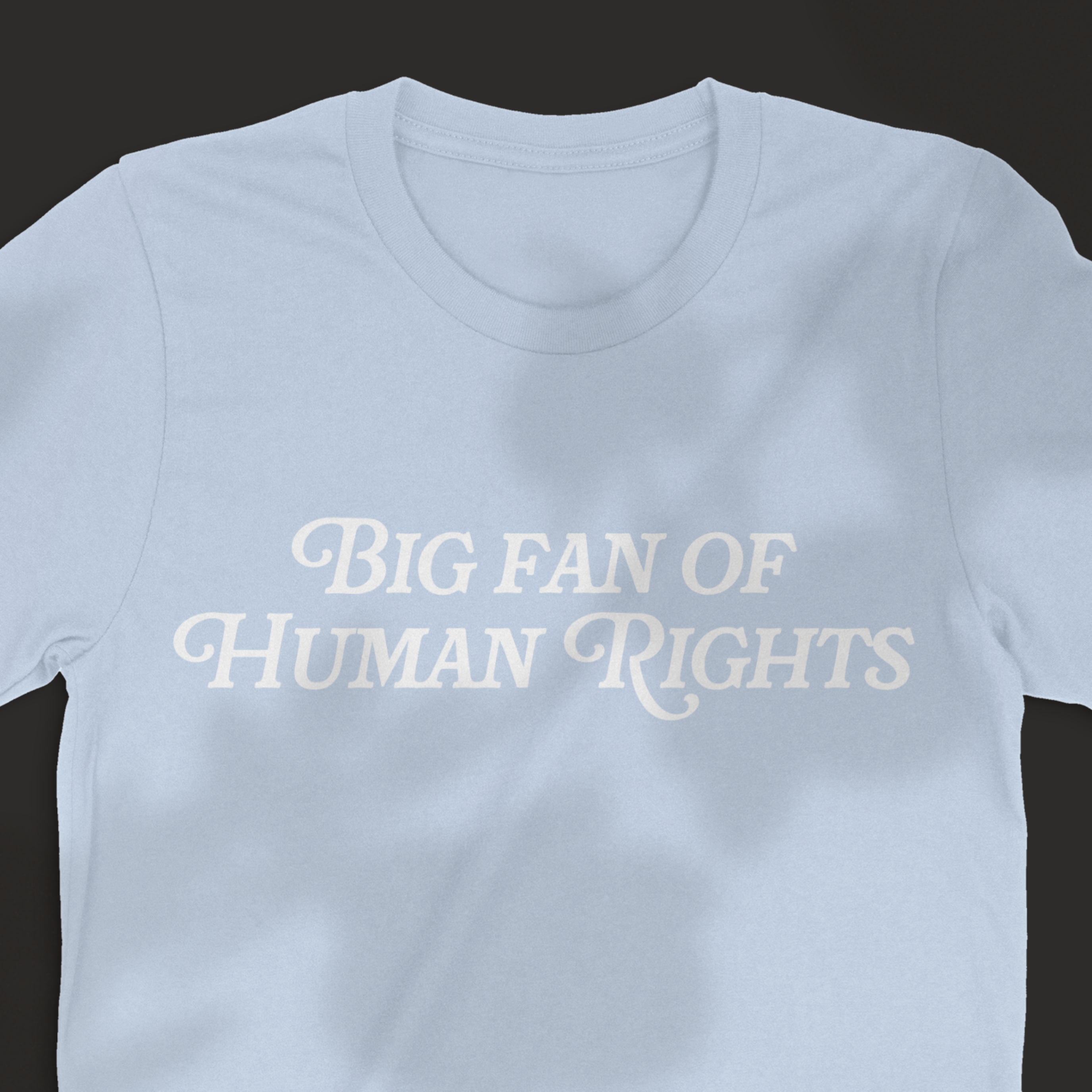 Big Fan of Human Rights Tee