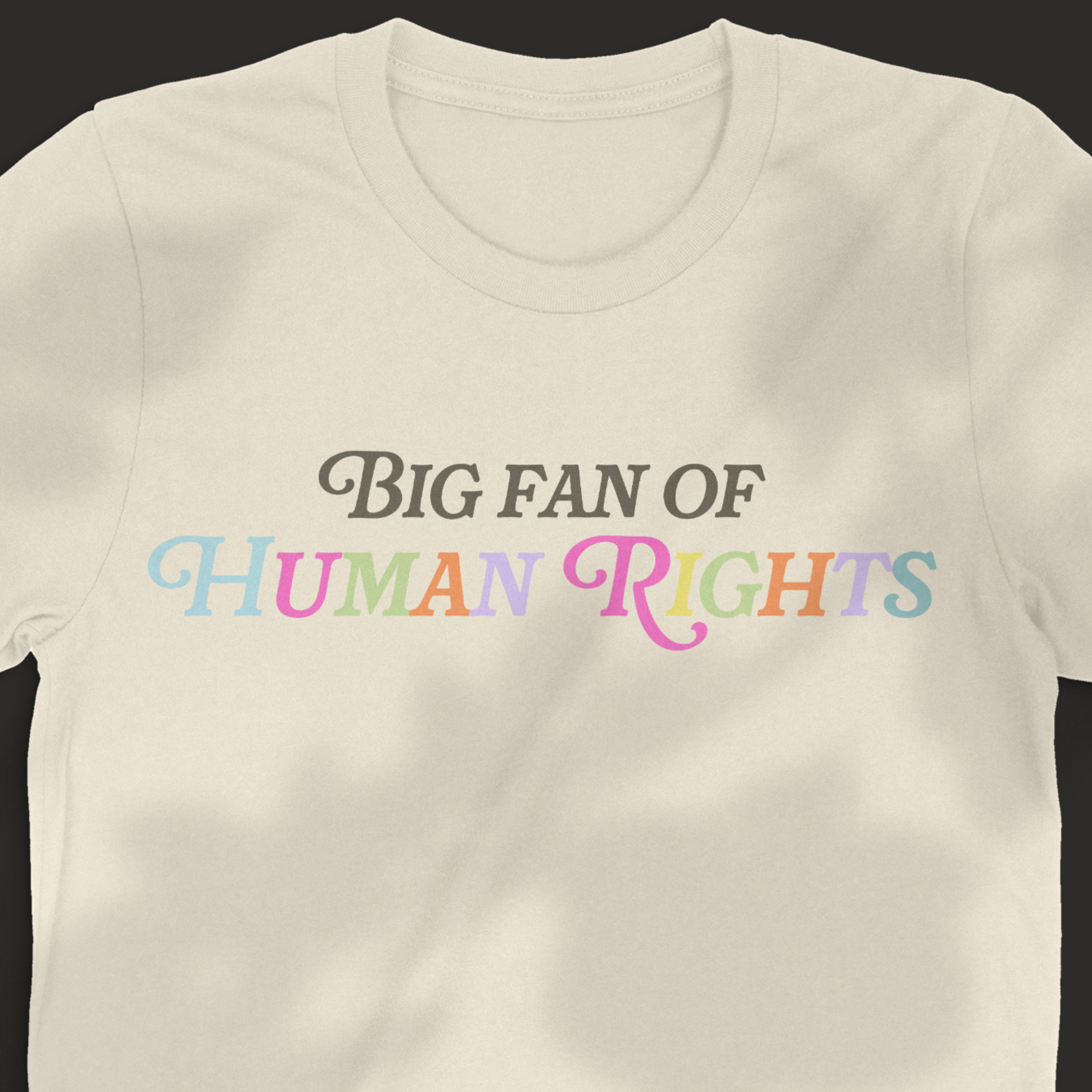 Big Fan of Human Rights Tee