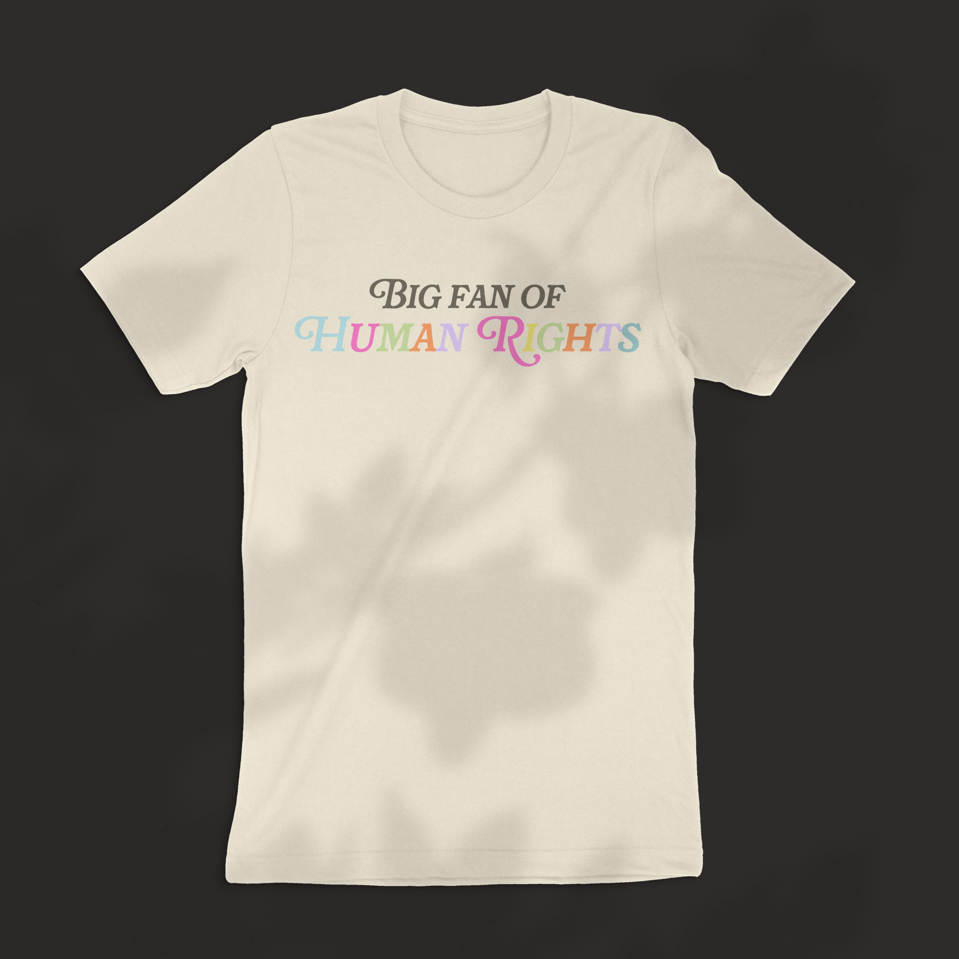 Big Fan of Human Rights Tee