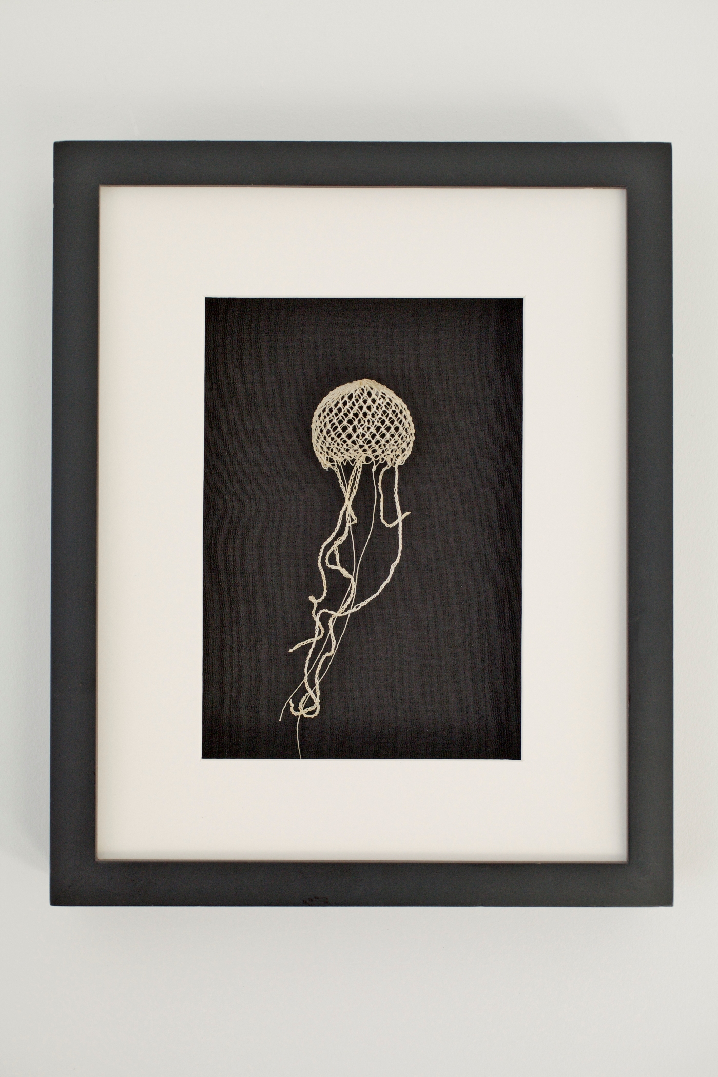 Essence of Jellyfish