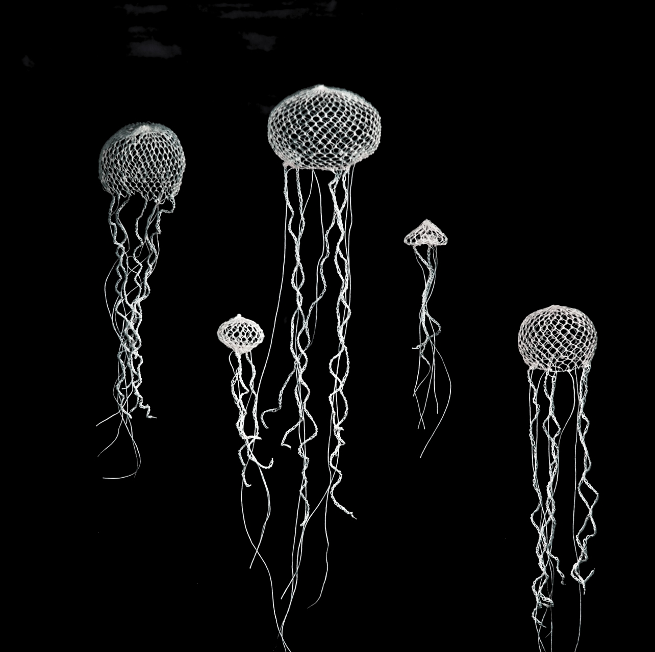 Essence of Jellyfish Ocean