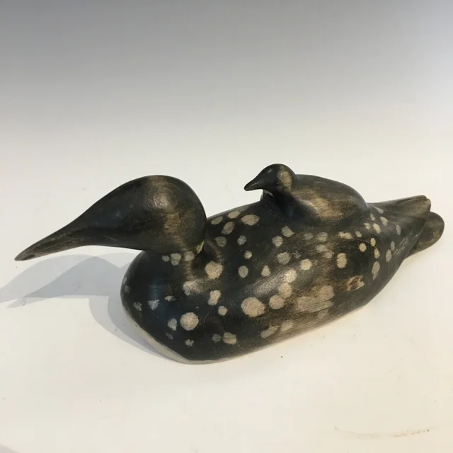 Loon with Chick