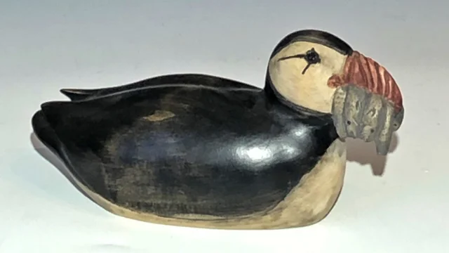 Swimming Puffin