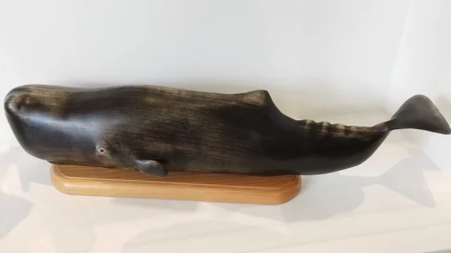Sperm Whale