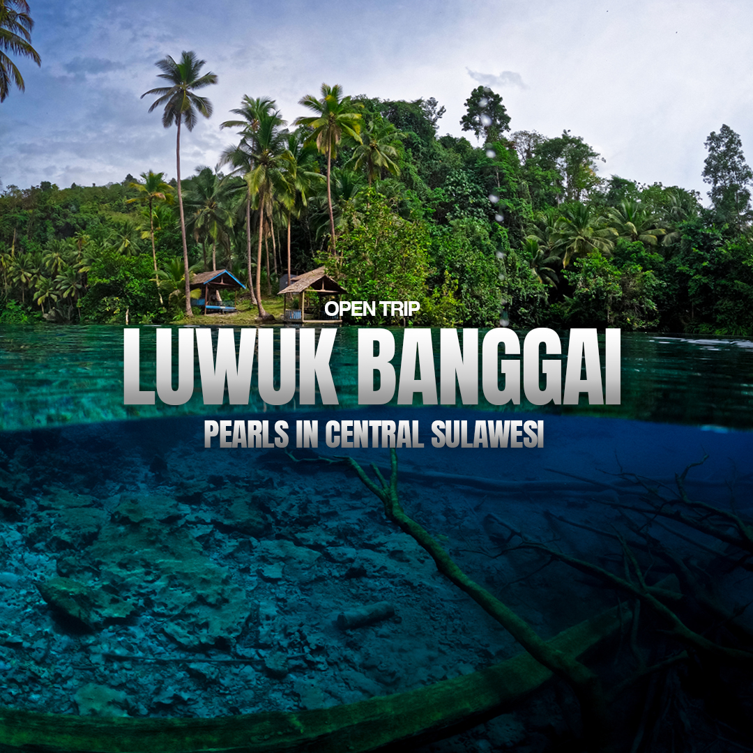 Luwuk Banggai