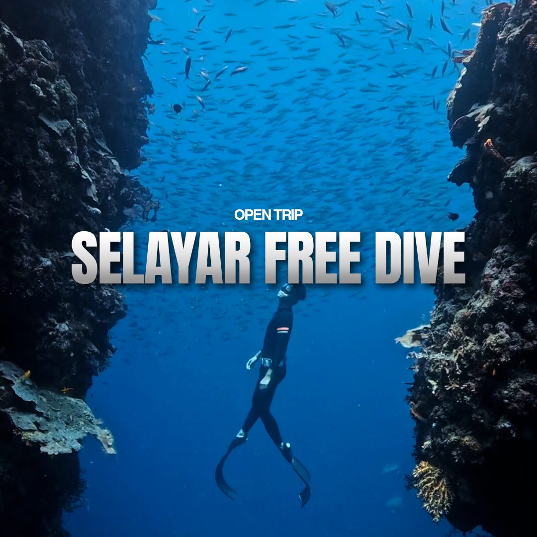 FREEDIVE SELAYAR