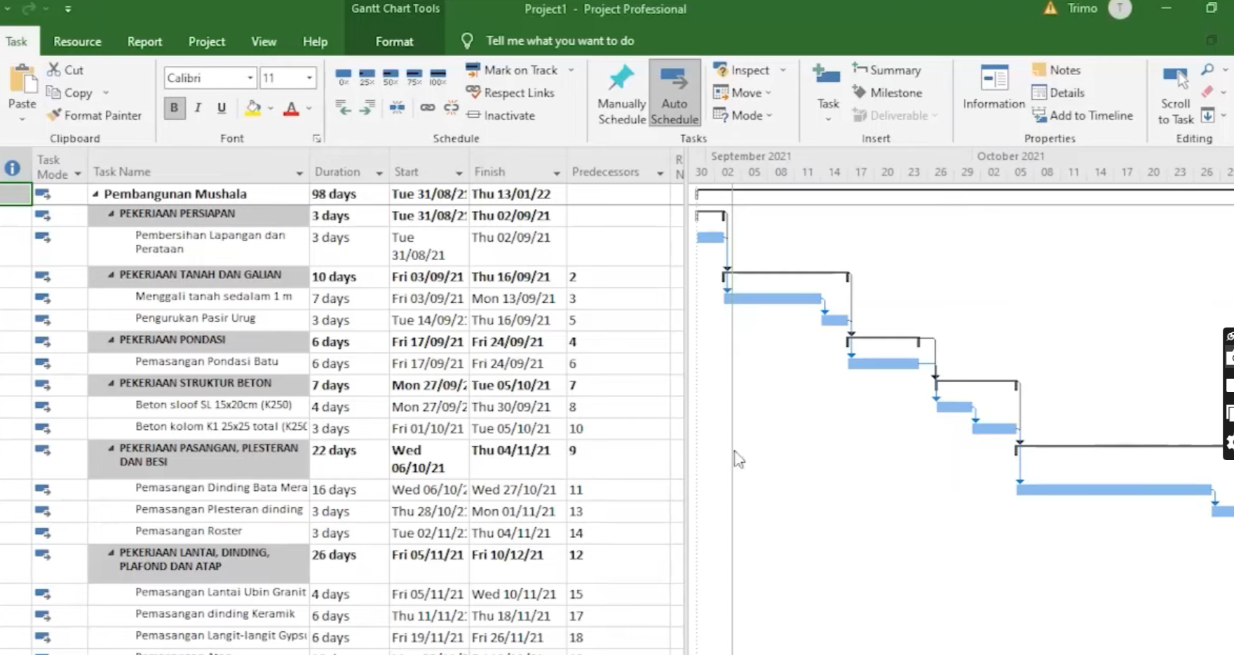 Training Microsoft Project