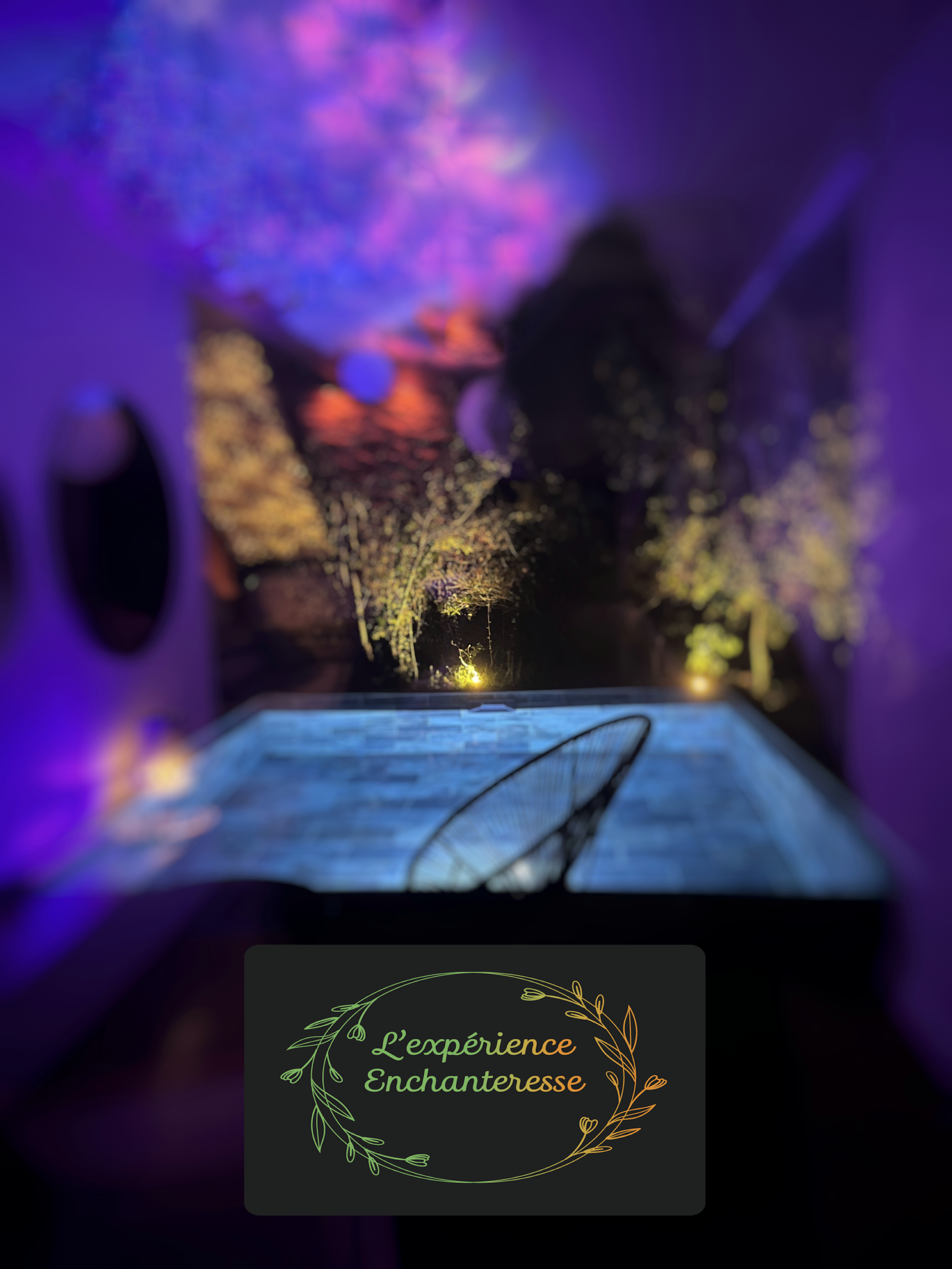 Expérience Enchanteresse 1 nuit semaine 
