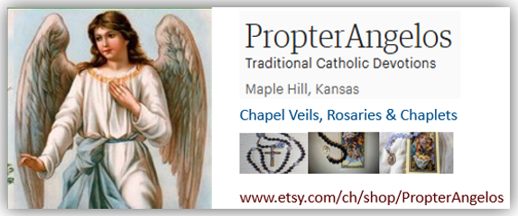 Propter Angelos