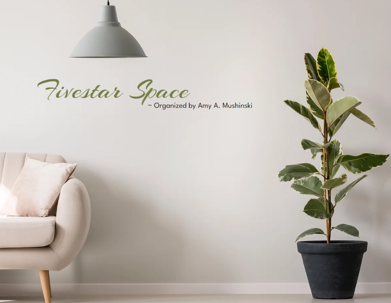 Fivestar Space