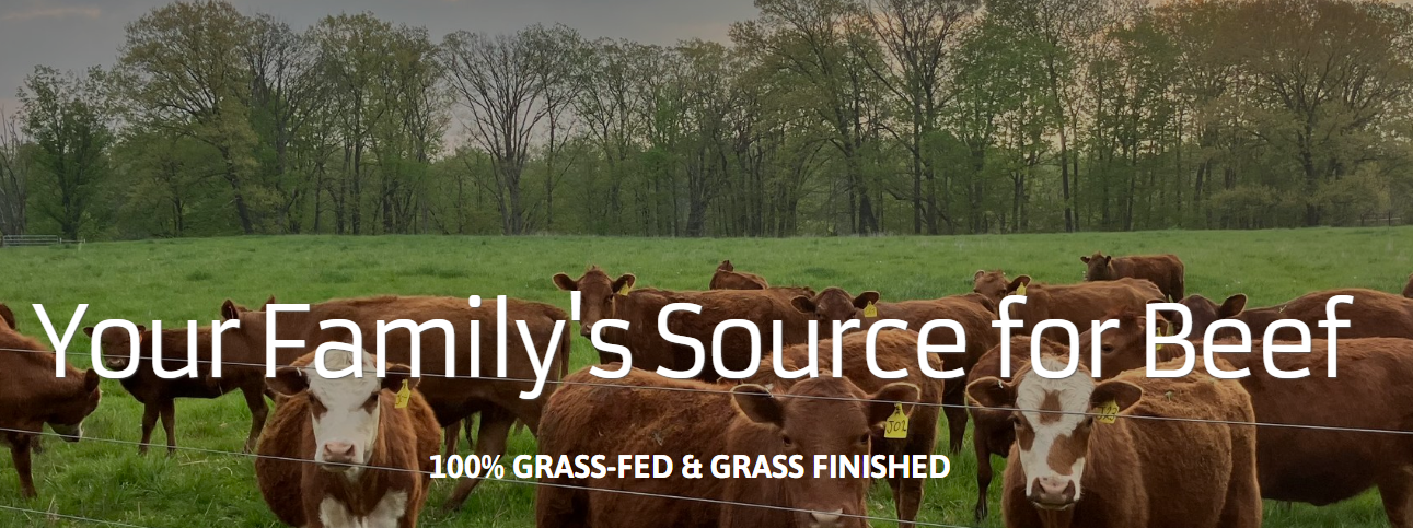 Providence Pastures, organic beef, lamb