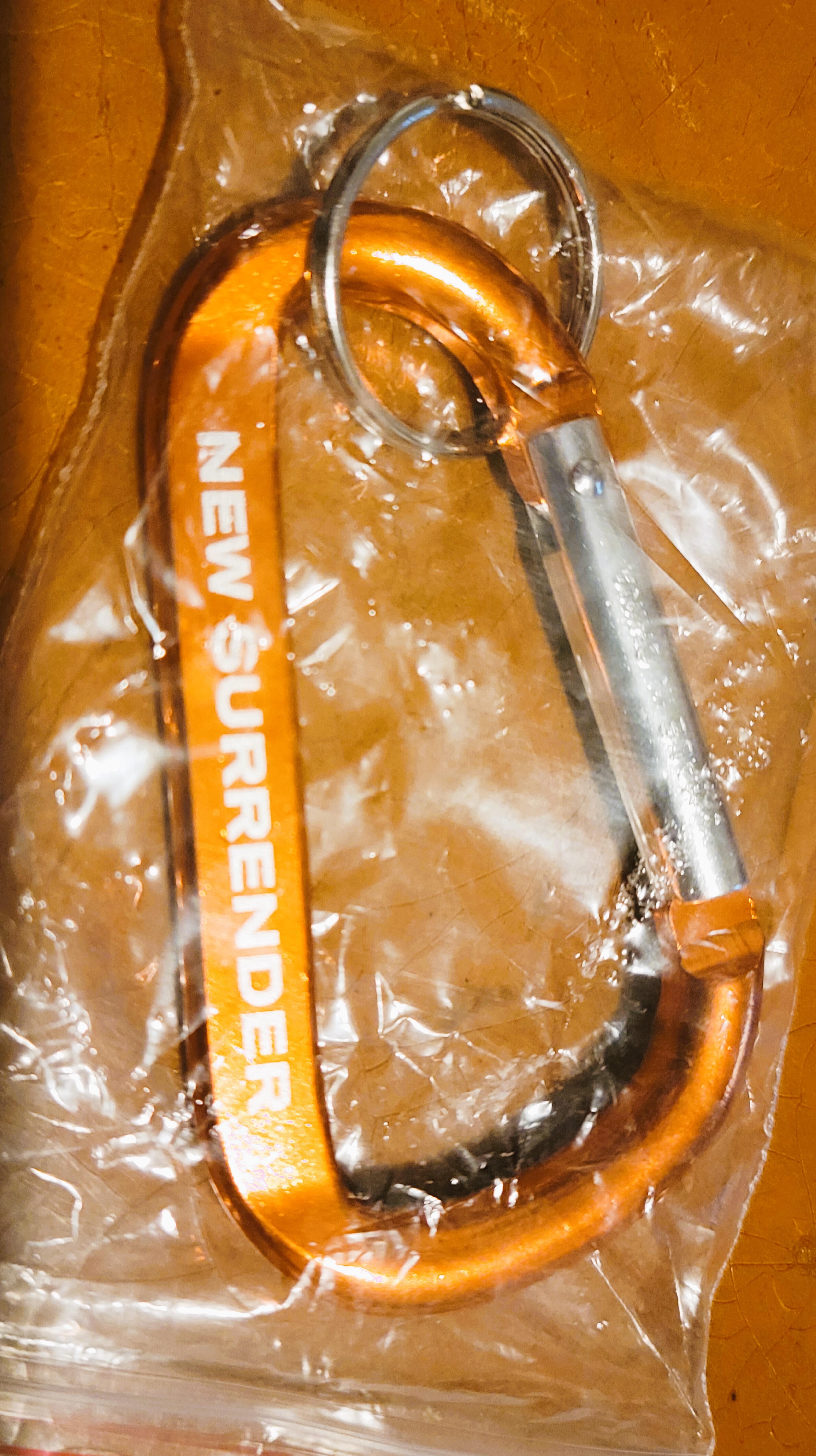 Anberlin "New Surrender" Carabiner Snap Hook Spring