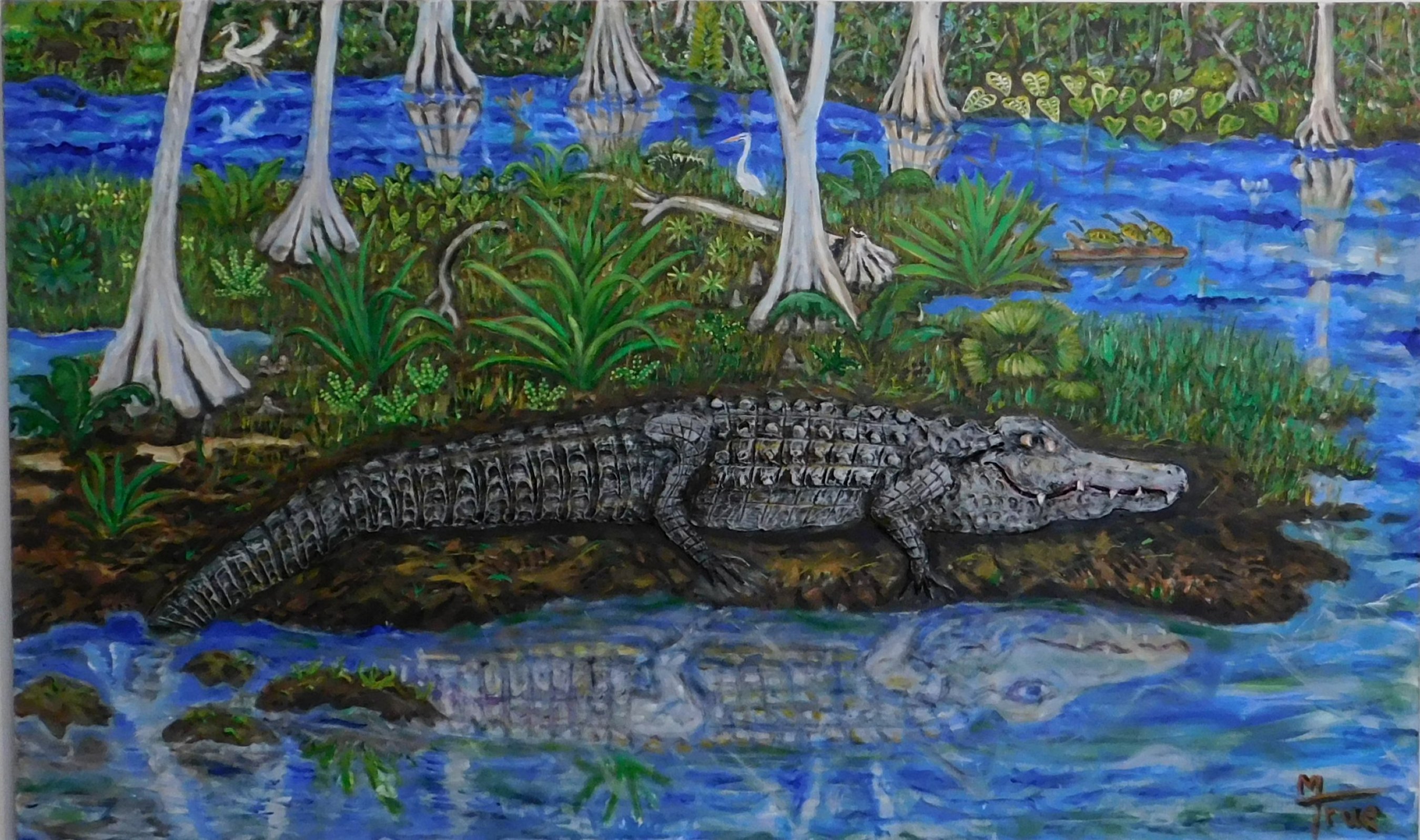 Gator, Full Body #7