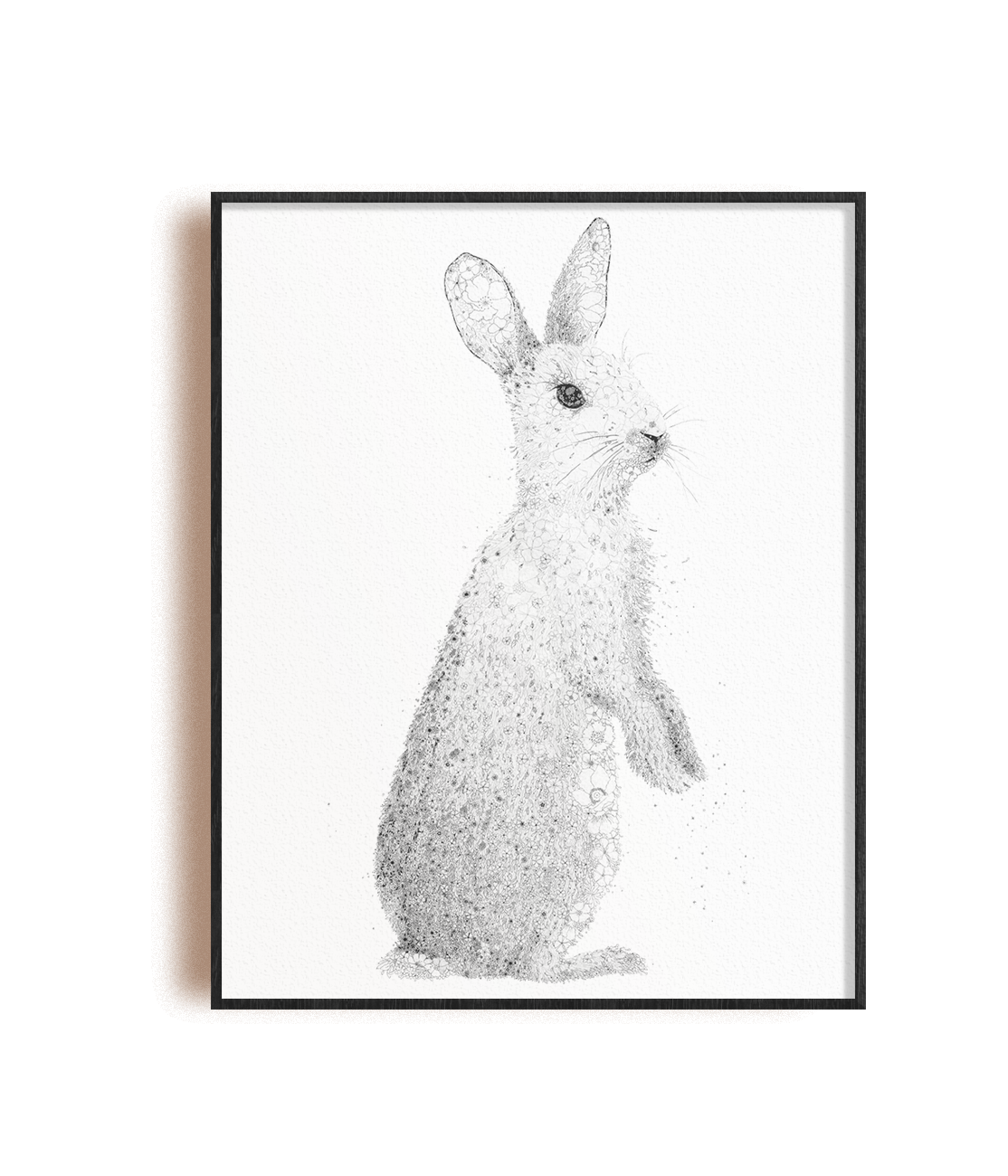 Lapin de Garenne
