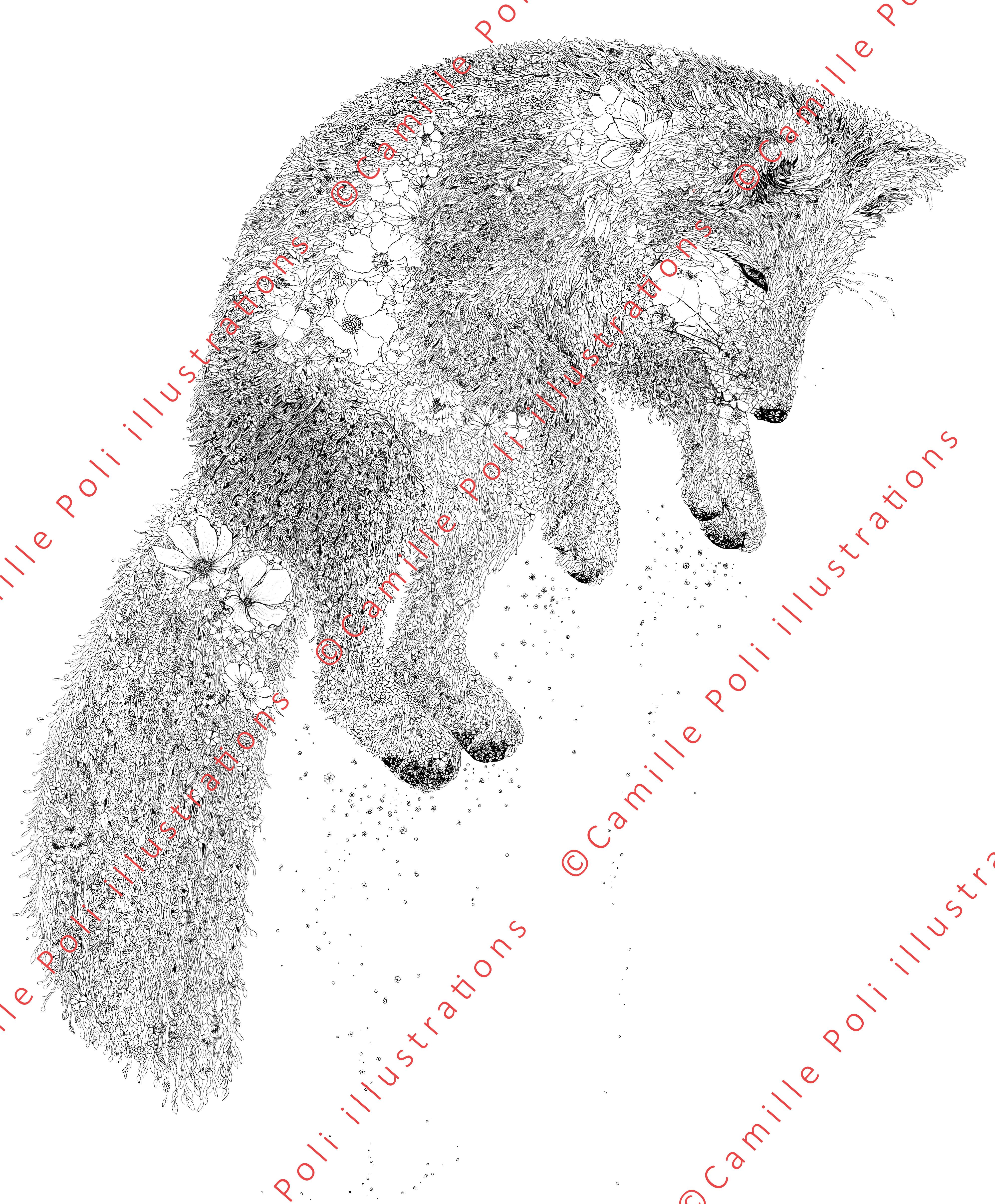 Renard polaire