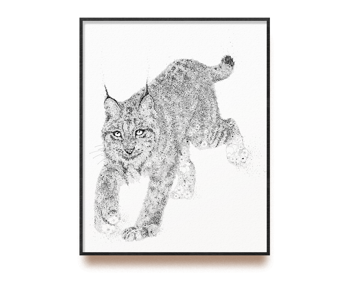 Lynx boréal