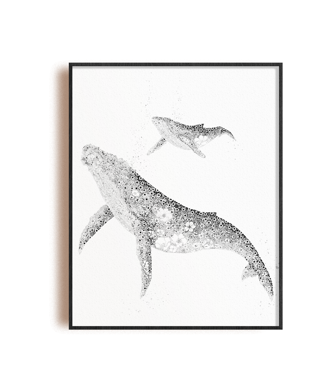 Baleines à bosse