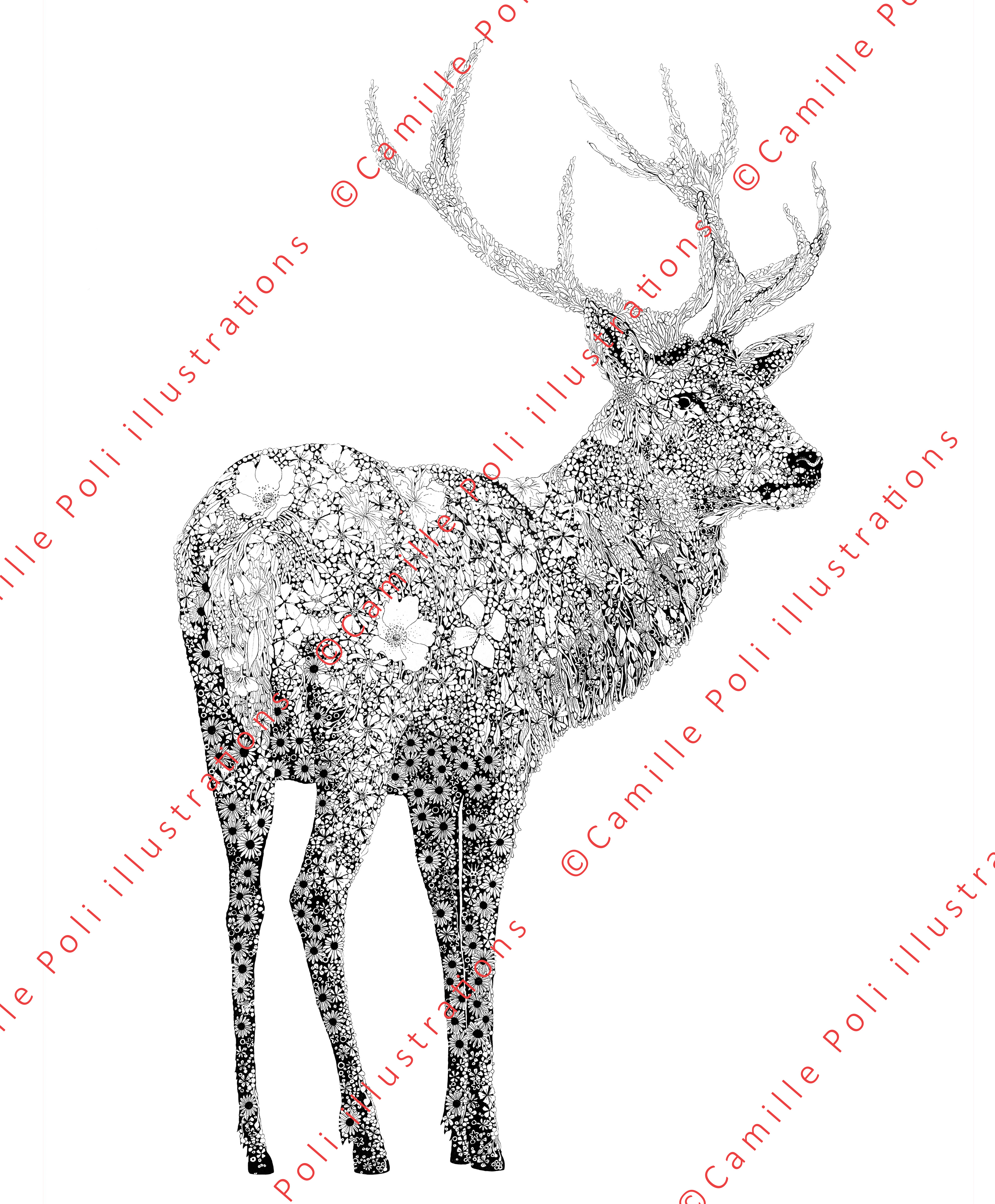 Cerf élaphe