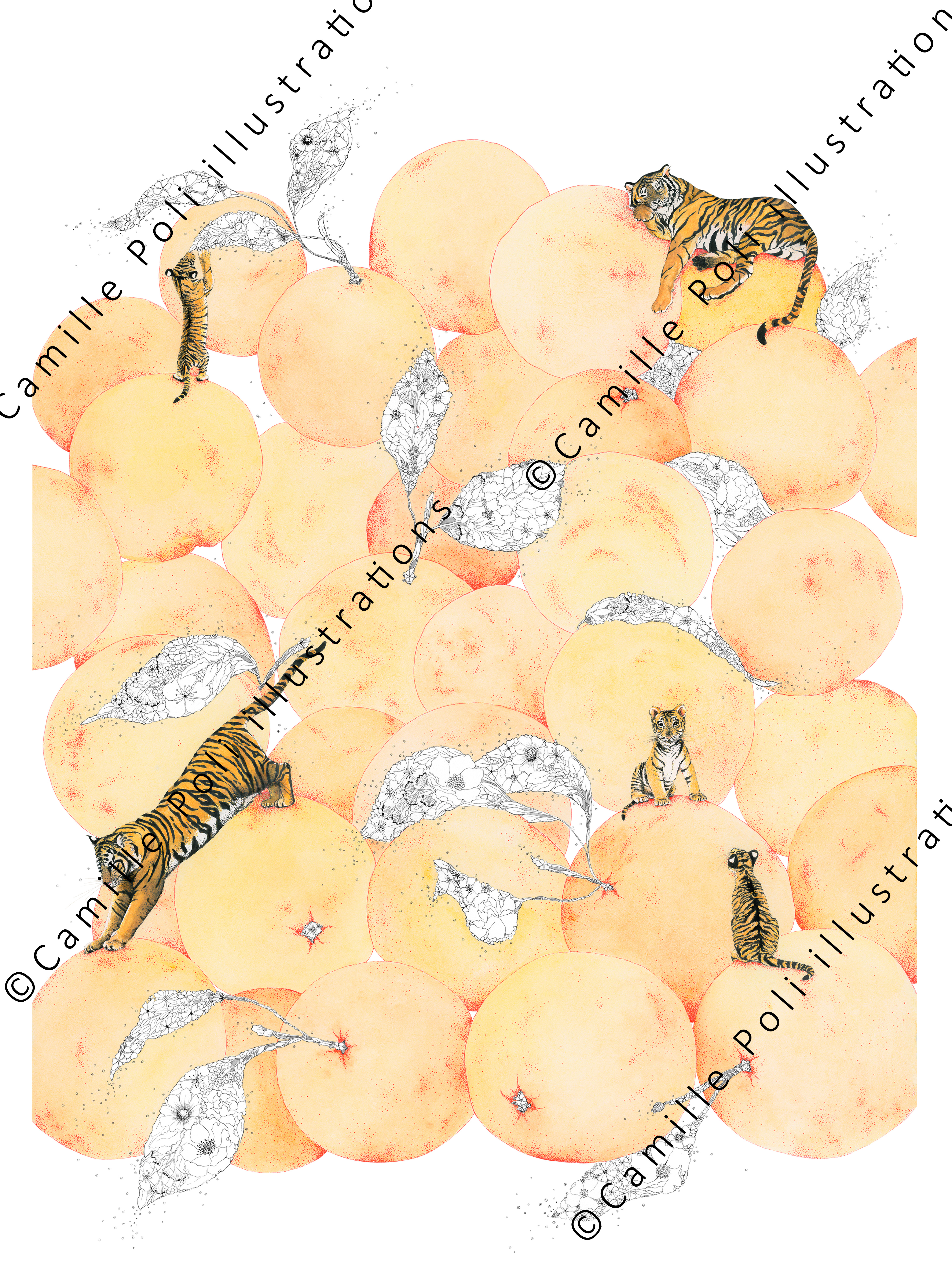 Les tigres aiment les oranges