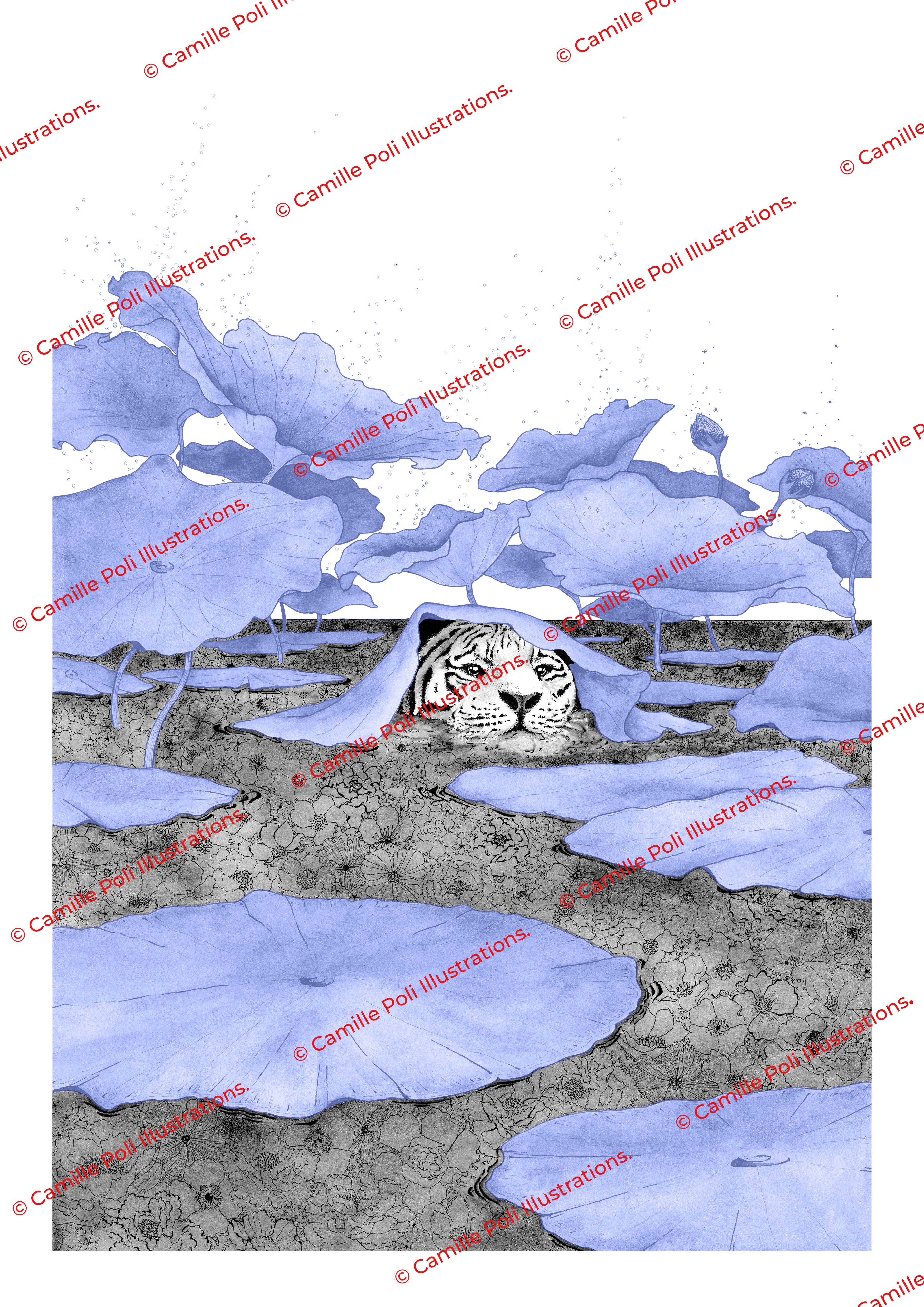 Tigre aux nénuphars bleus