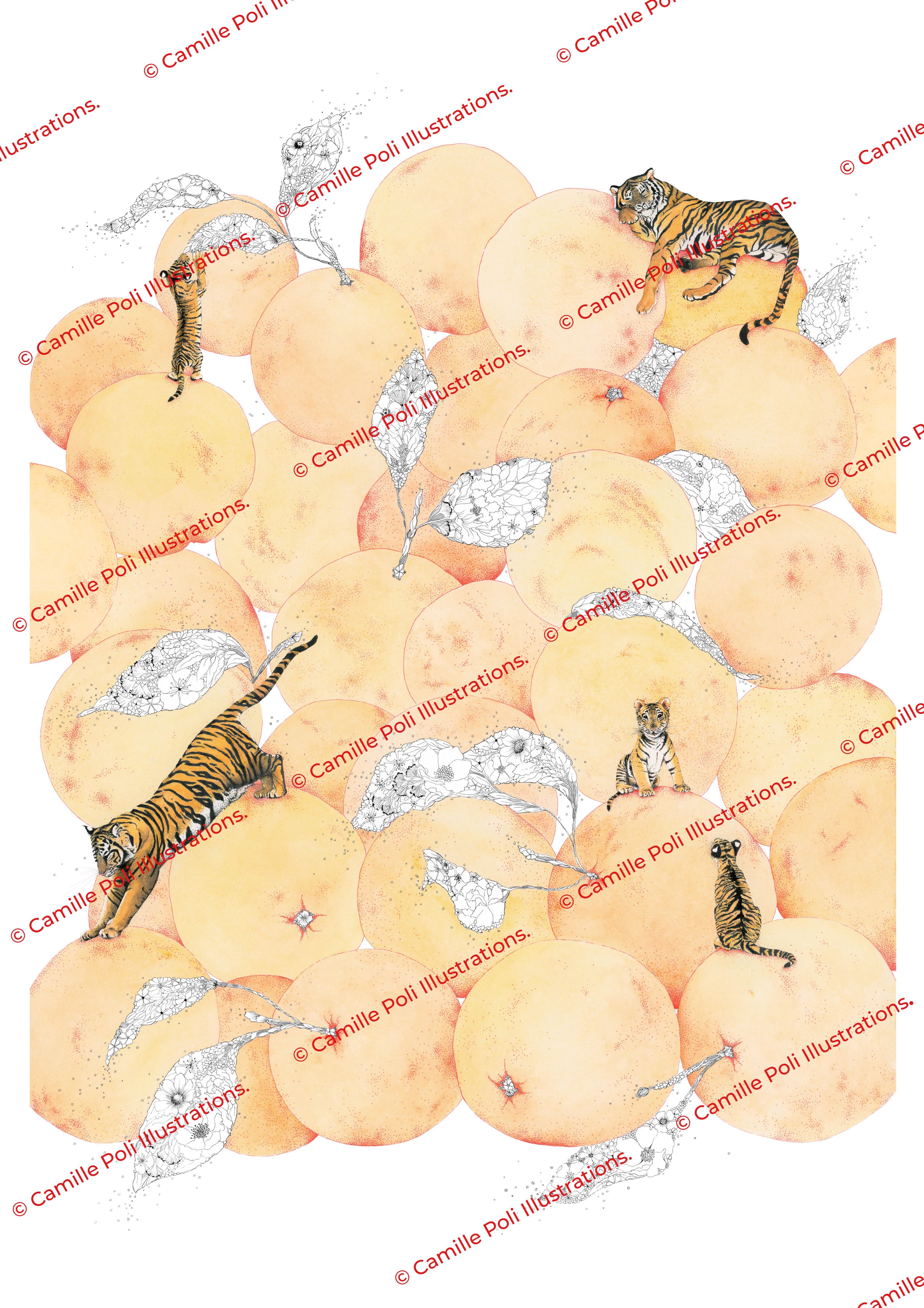 Les tigres aiment les oranges 