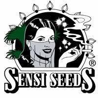Aceite de CBD RAW Sensi Seeds - 5% 10ml
