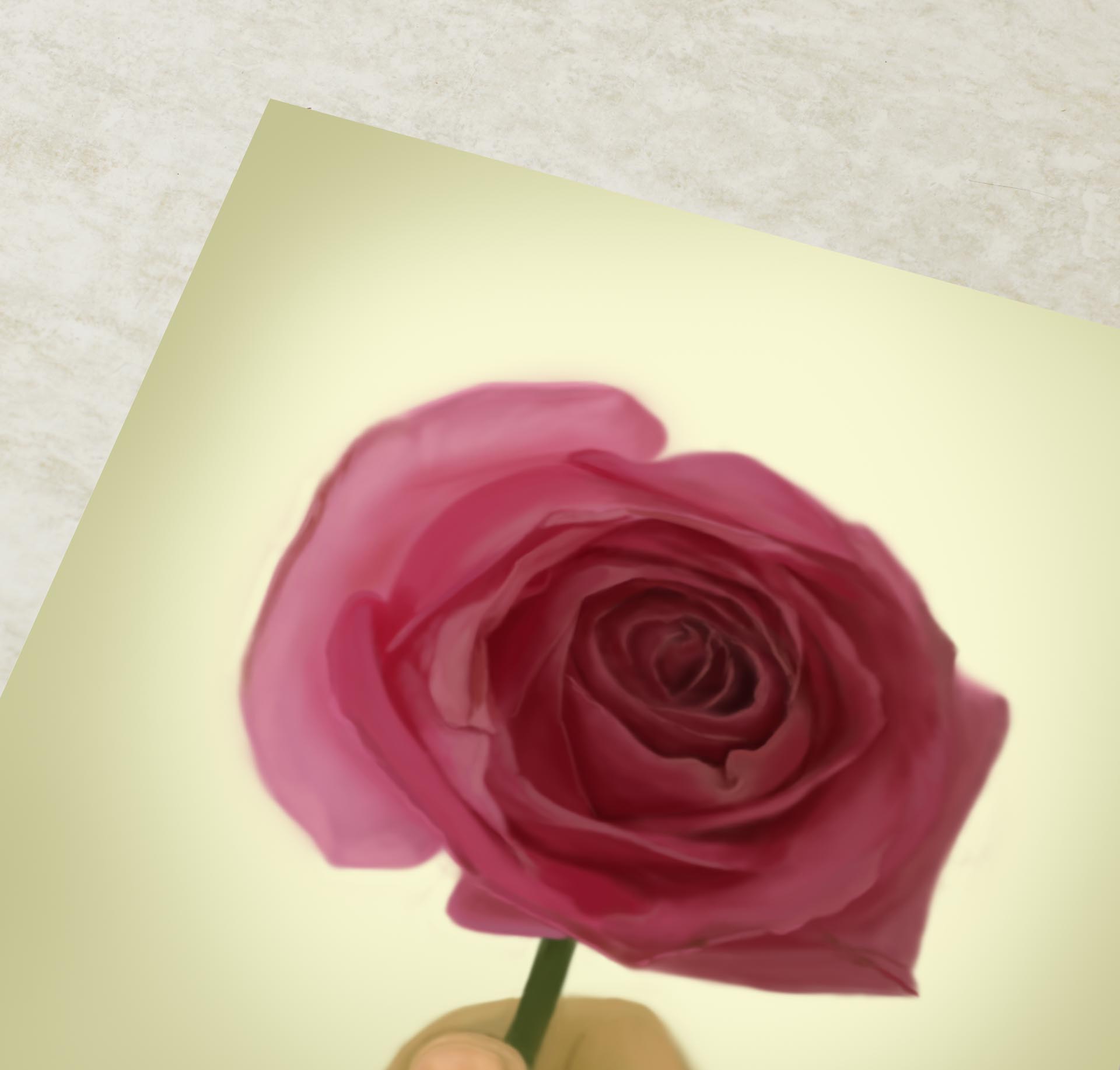 Fiat - Pink Rose Art Print