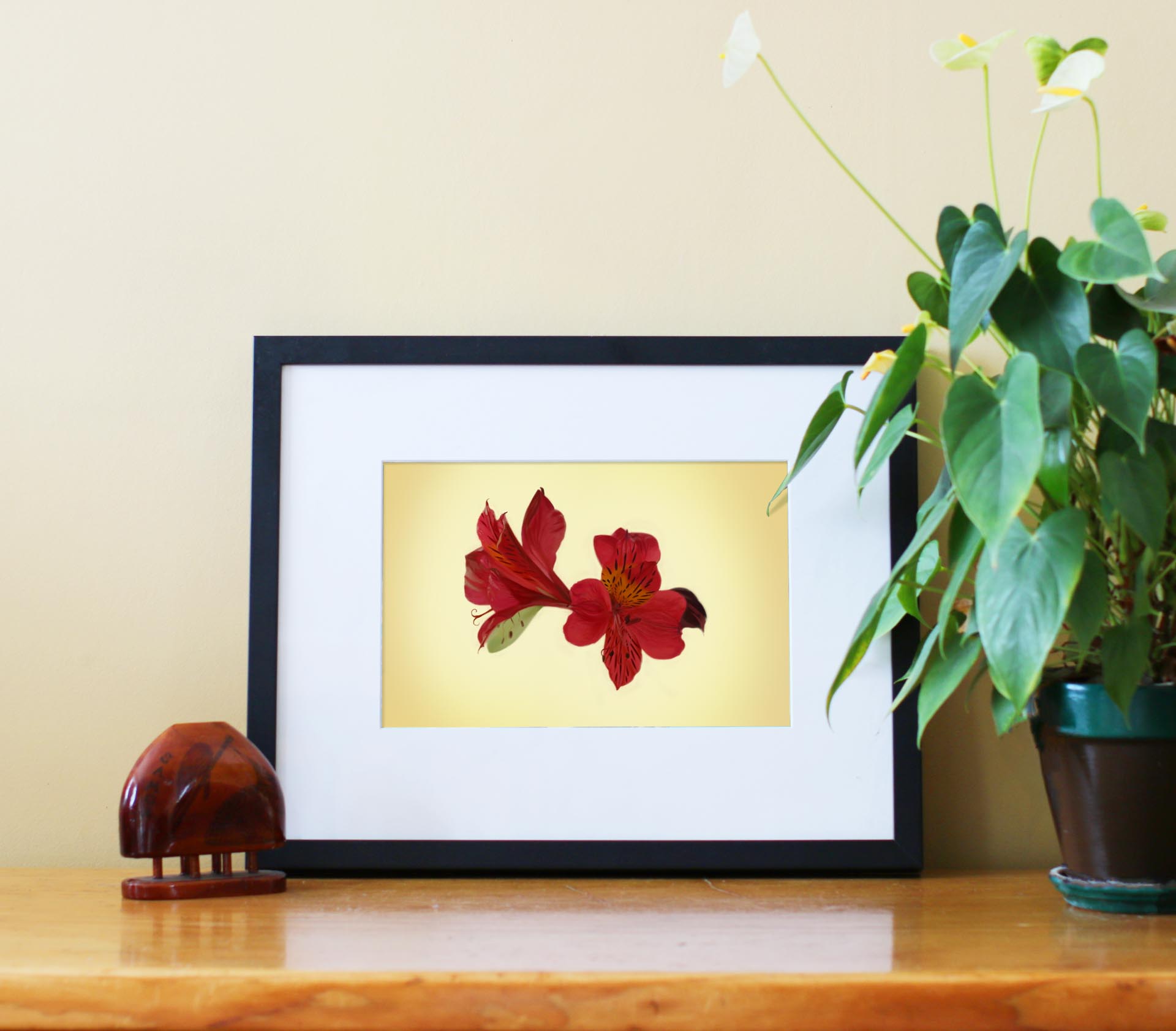 Patience - Alstroemeria Art Print