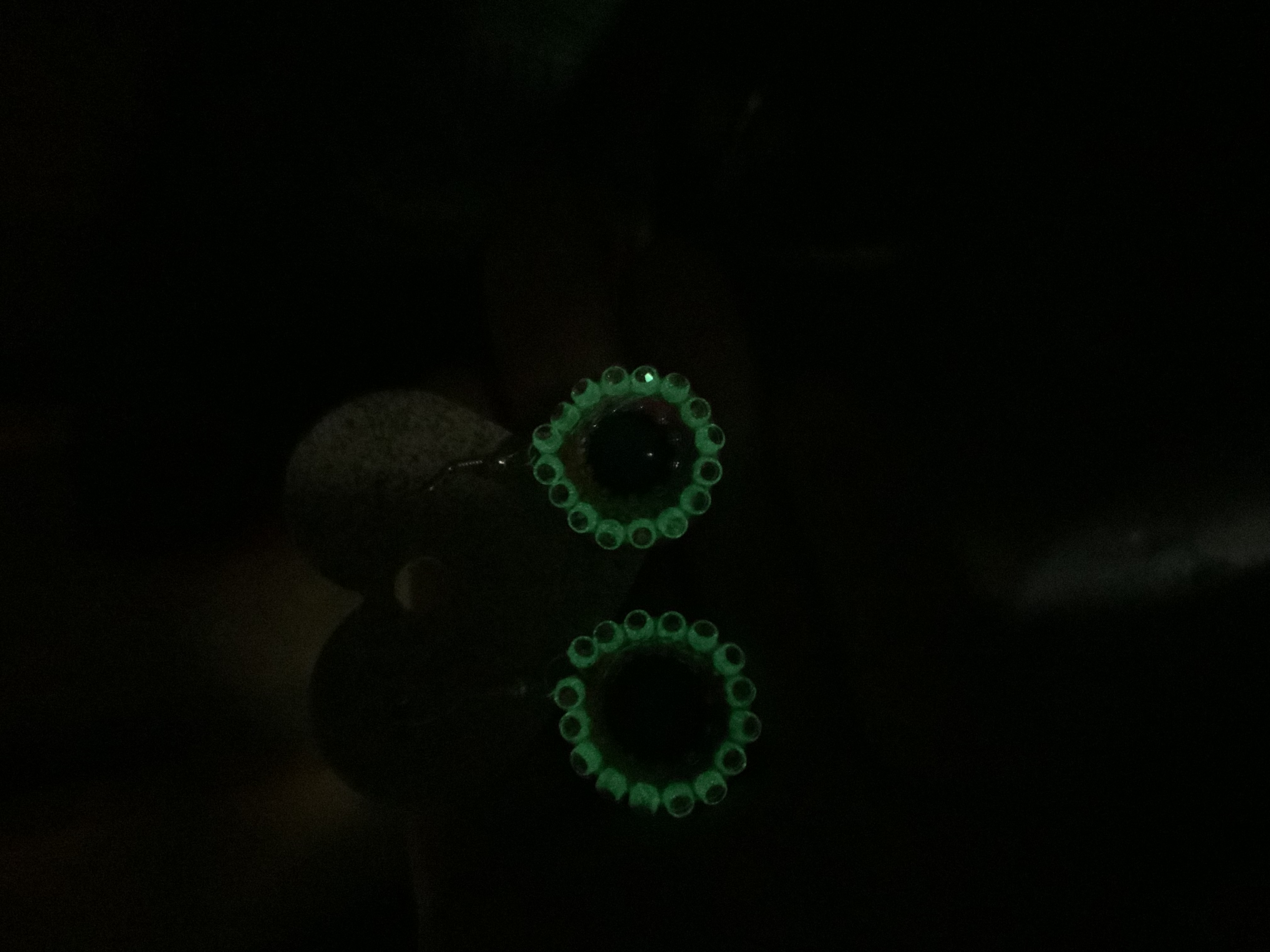 Rainbow algae glow in the dark earrings