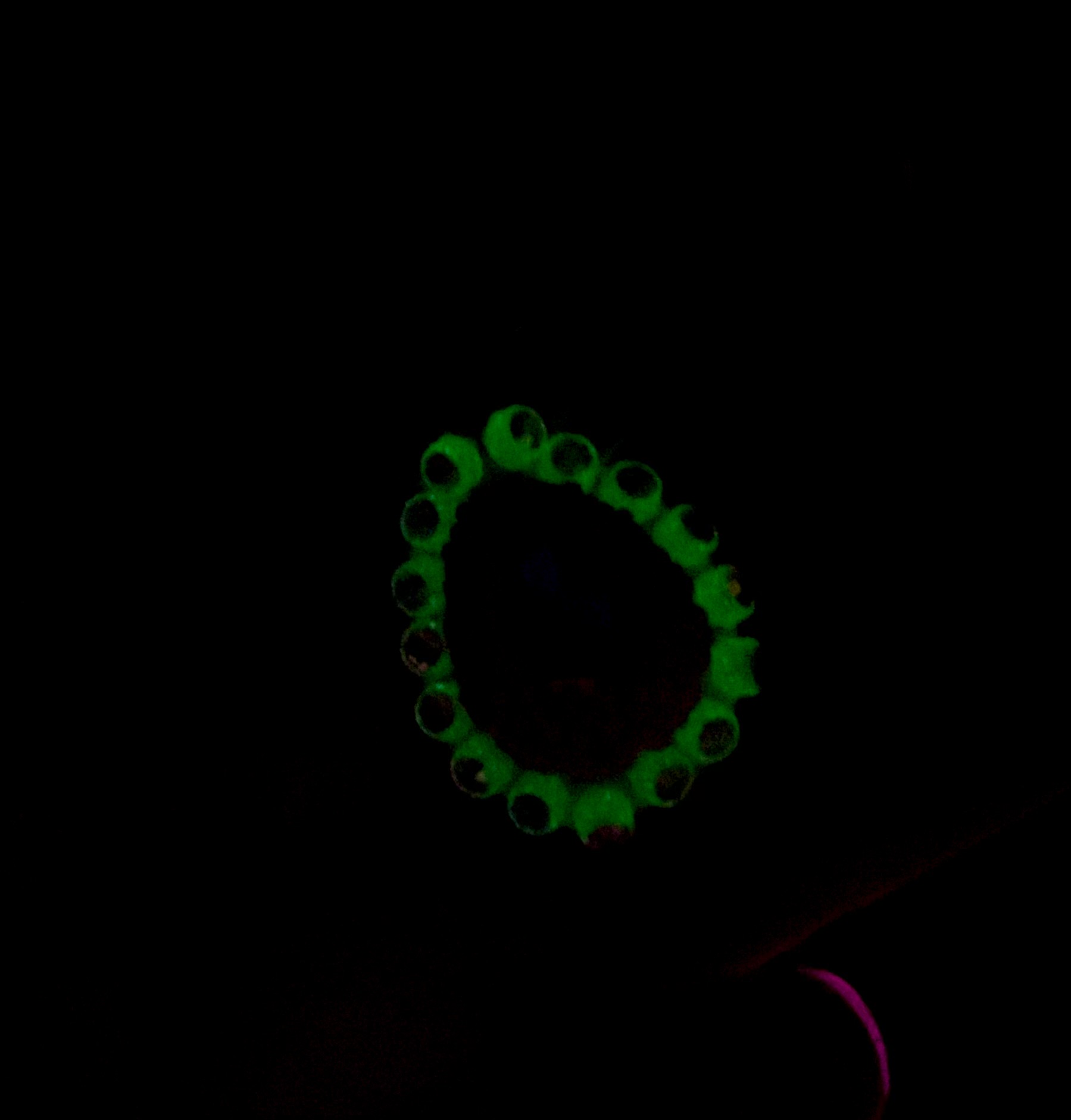 Beaded glow in the dark spider pendant