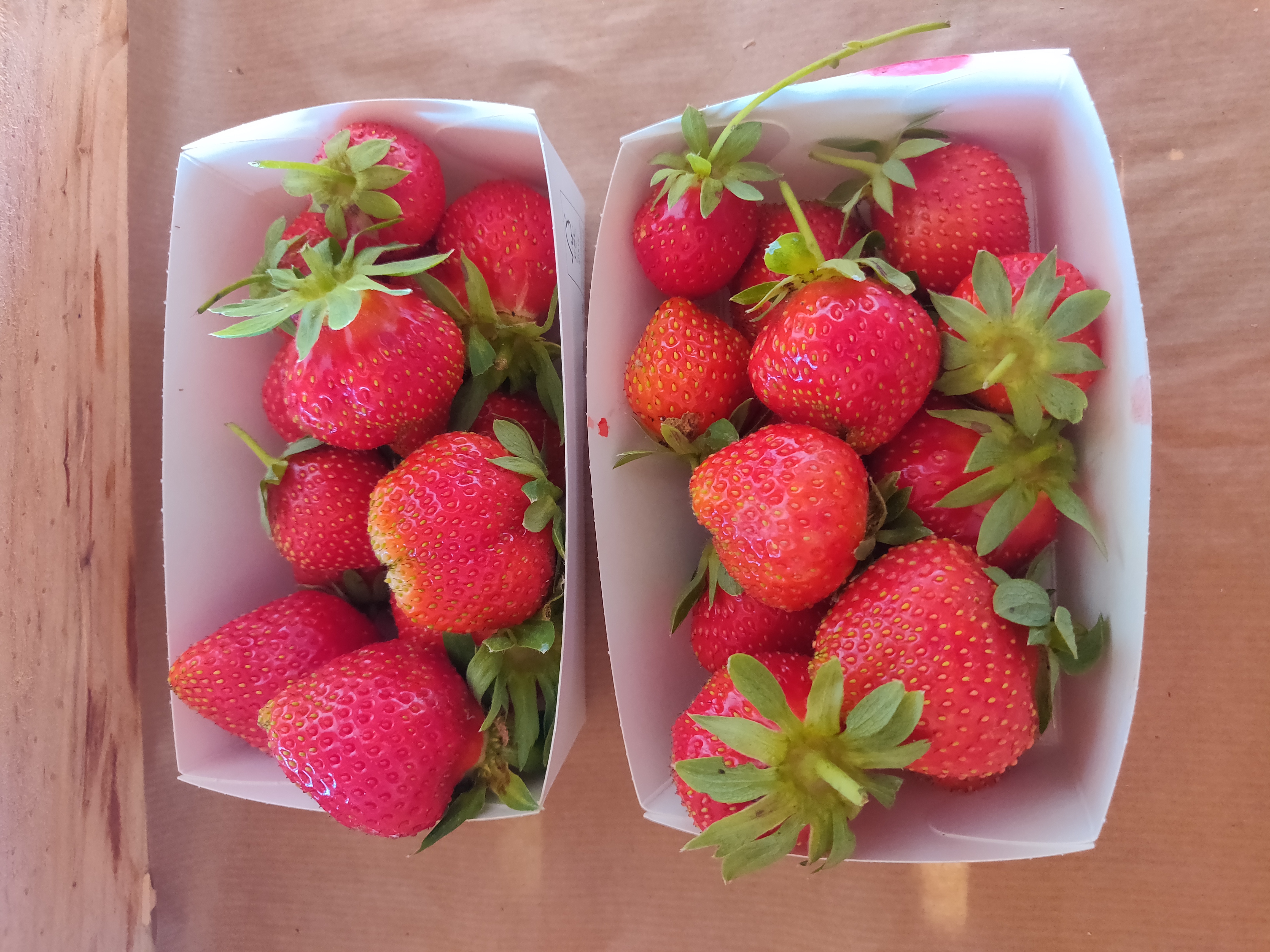Fraise Favoris