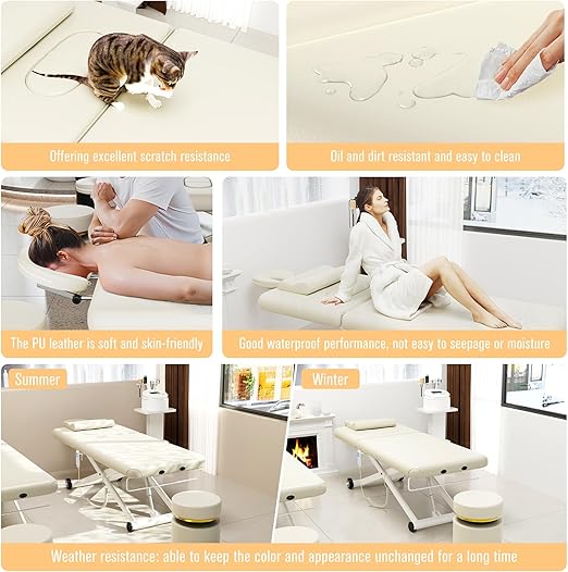 Dolonm Electric Massage Table