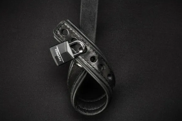 Wrist to Ball Restraint