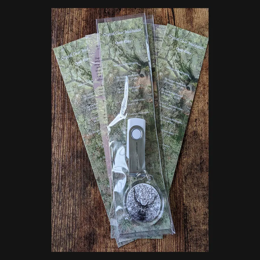 Guided Meditations - USB Flash Drive