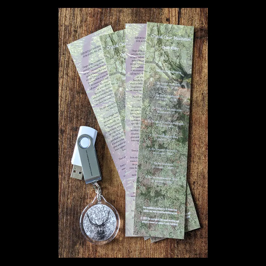 Guided Meditations - USB Flash Drive