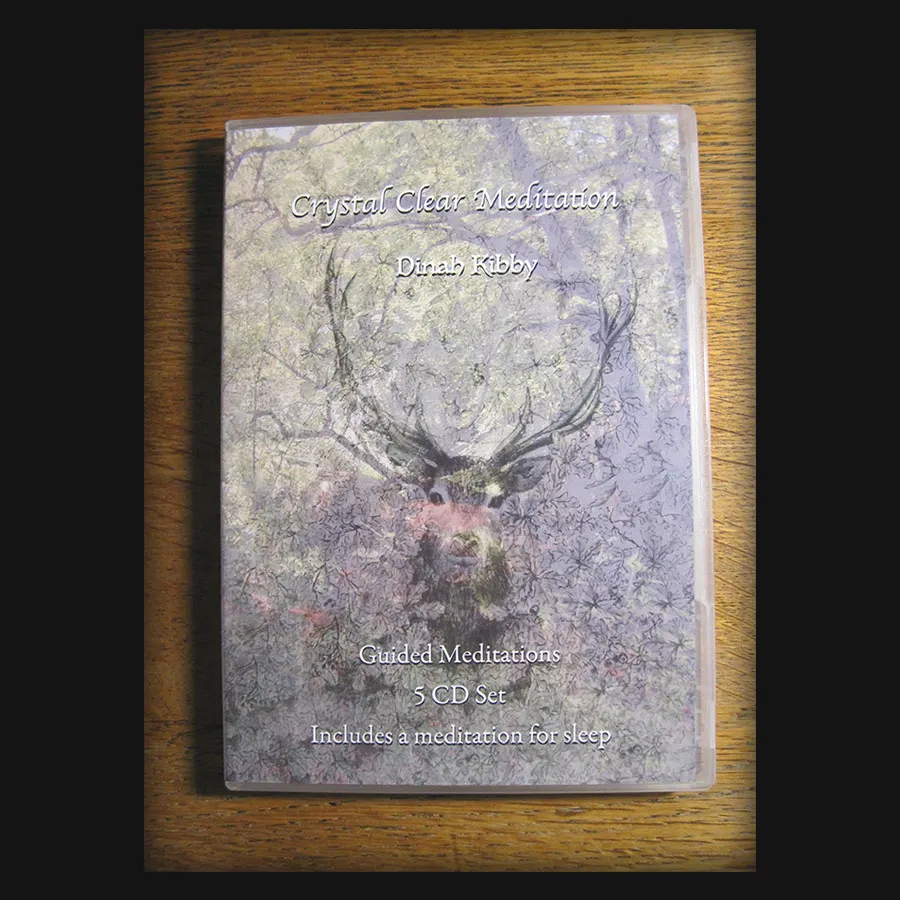 Guided Meditations - 5 CD set