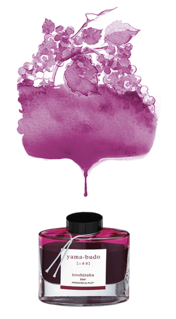 PILOT - Flacon d'encre Iroshizuku 50ml