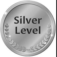 $1,500 Silver Sponsorship - 2025 Women in Security Masks, Mischief & Missions Event