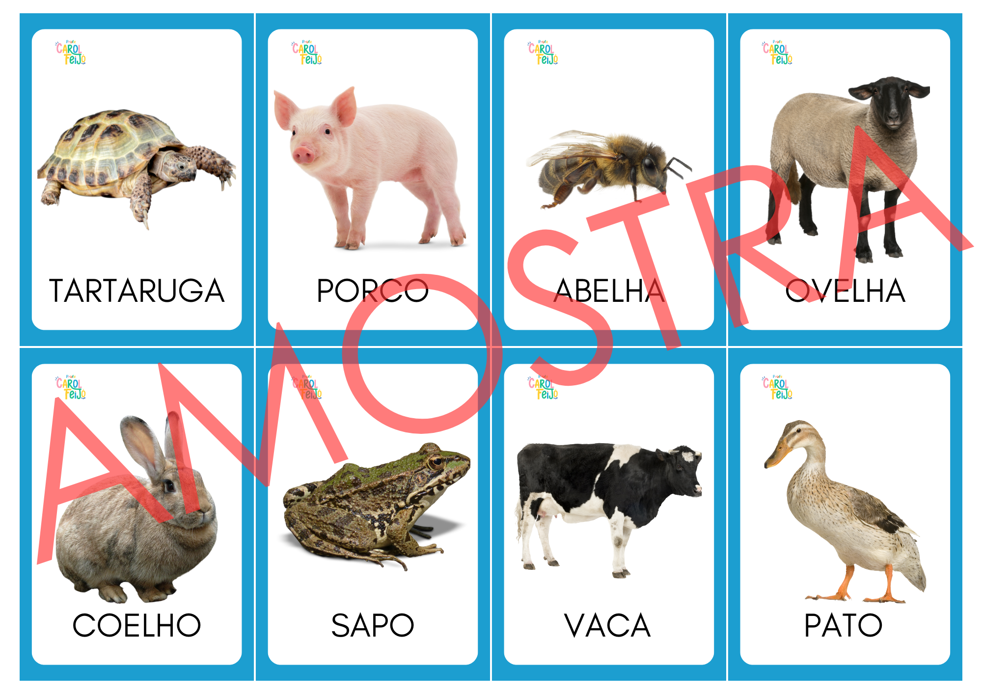 Cards para Mímica