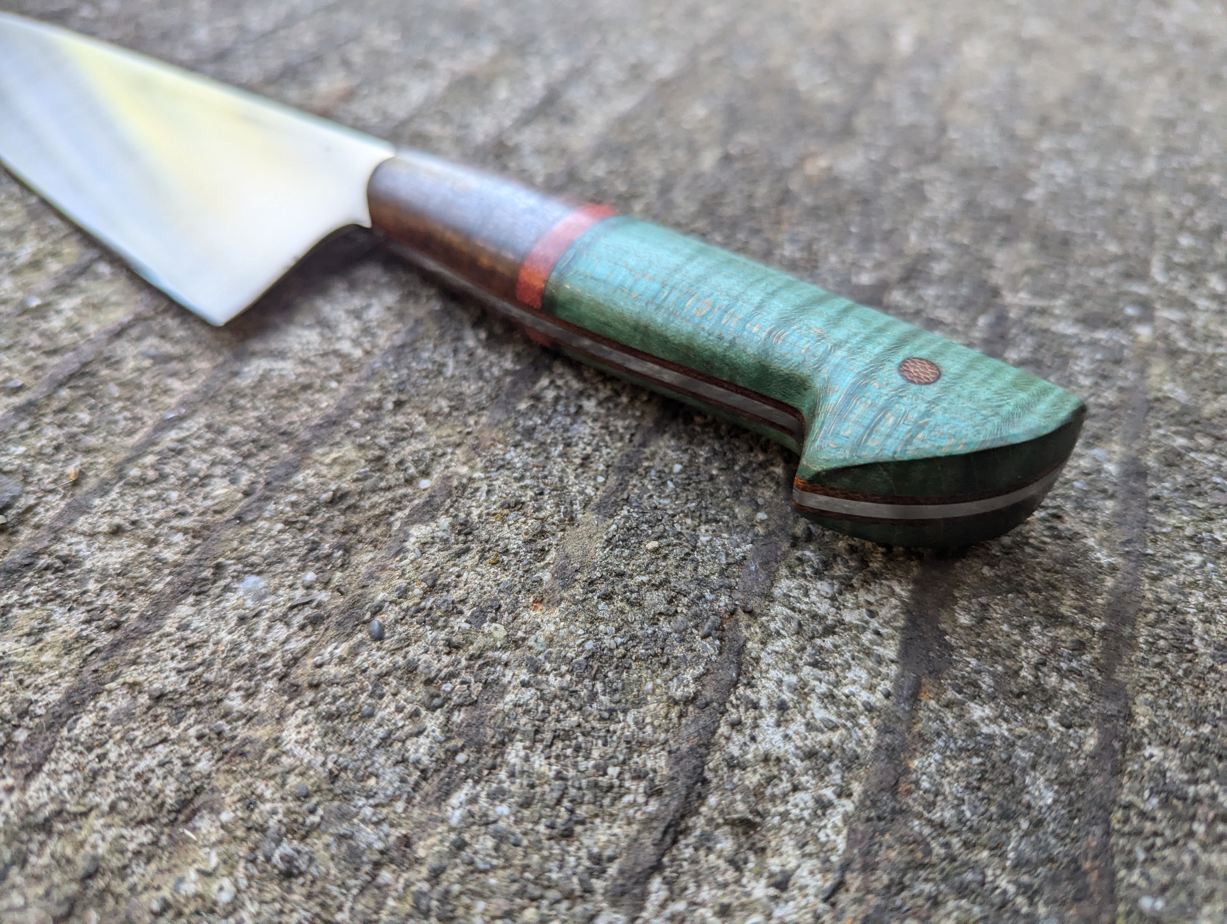 8.25" Chef's Knife with Teal-Dyed Maple and Ringed Gidgee Handle