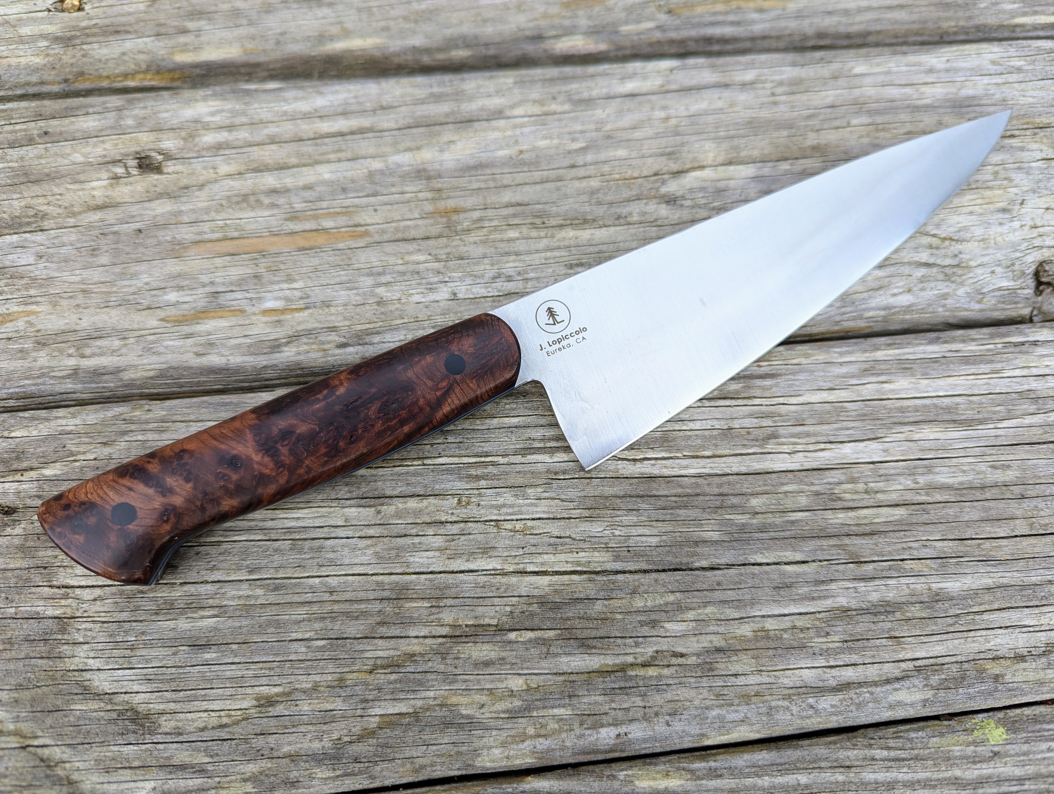 6.5" Petty Knife with Old Growth Redwood Burl