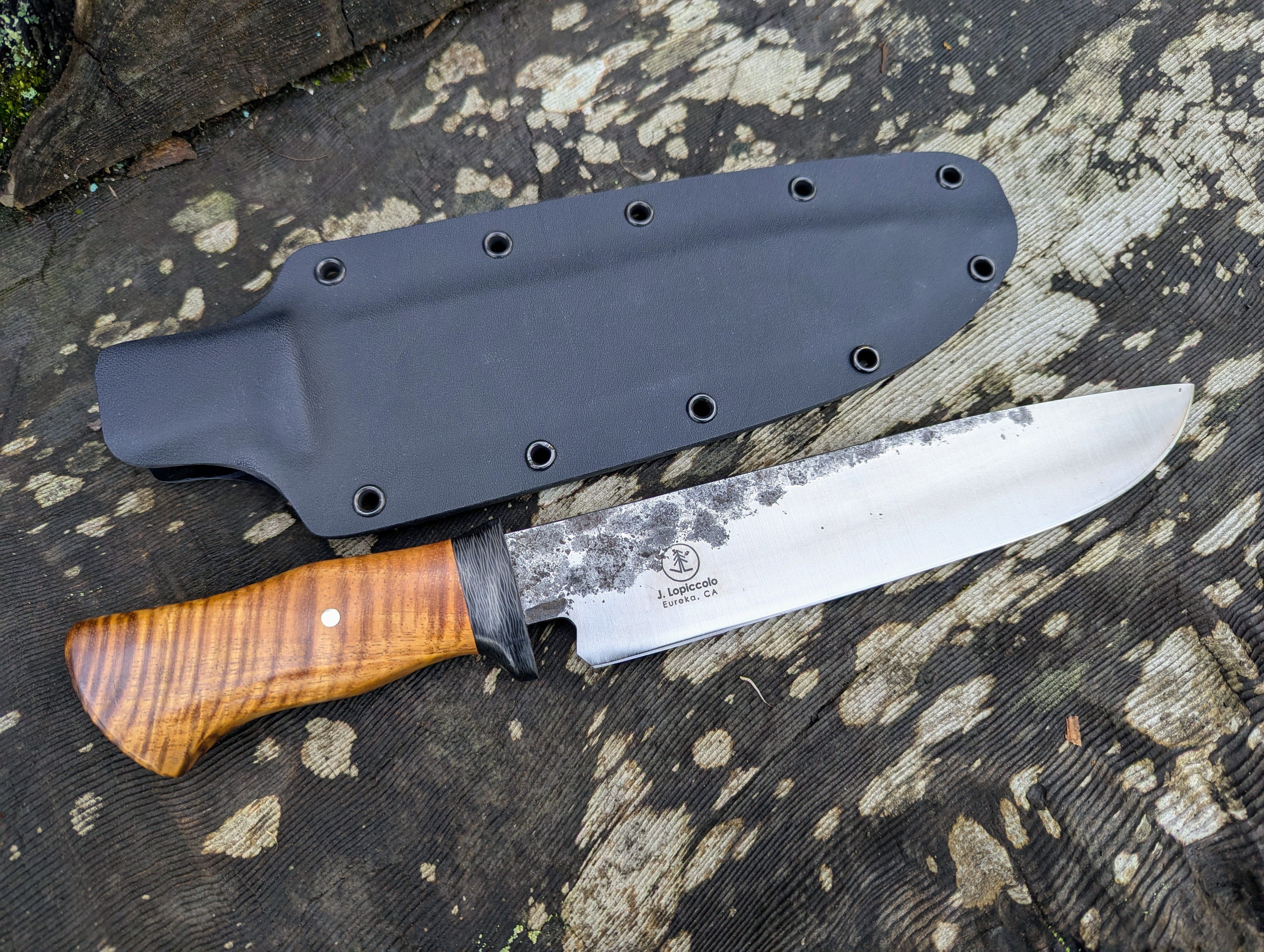 Forged AEB-L 8.5" Camp Knife with Curly Hawaiian Koa Hnadle and Carbon Fiber Guard